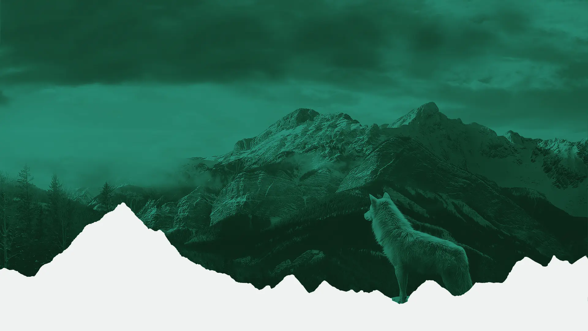 Conheça os serviços da Garra Digital, especializada em desenvolvimento web